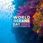 THE UNITED NATIONS TO HOST ANNUAL WORLD OCEANS DAY EVENT (8 JUNE) WITH THE 2022 THEME REVITALIZATION: COLLECTIVE ACTION FOR THE OCEAN