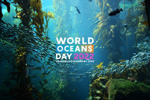 WINNERS ANNOUNCED FOR THE NINTH ANNUAL UNITED NATIONS WORLD OCEANS DAY PHOTO COMPETITION