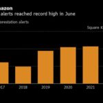 Amazon Deforestation Hits Record High in New Blow to Bolsonaro