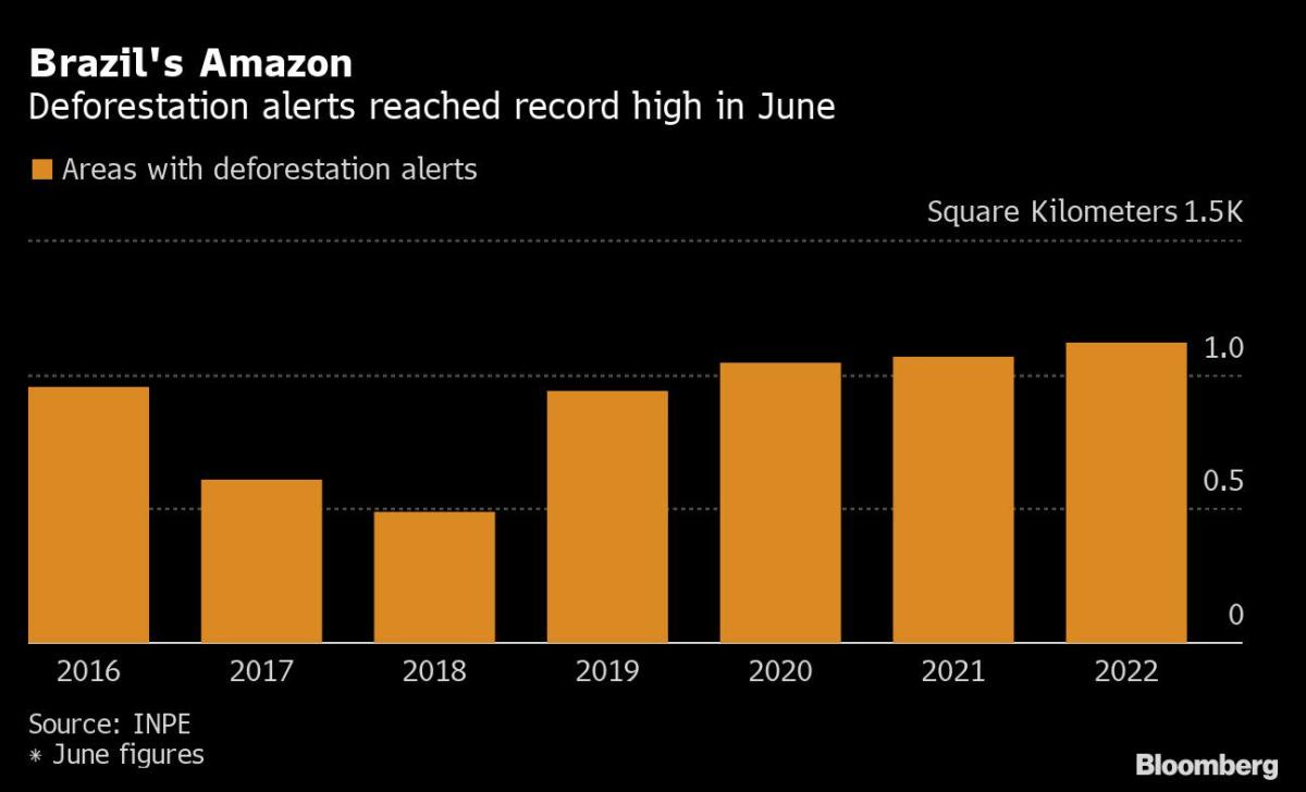 Amazon Deforestation Hits Record High in New Blow to Bolsonaro