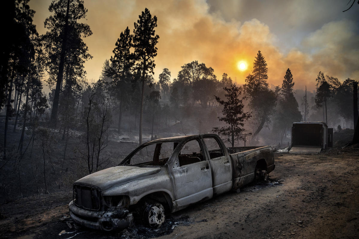 California forest fire burns out of control near Yosemite