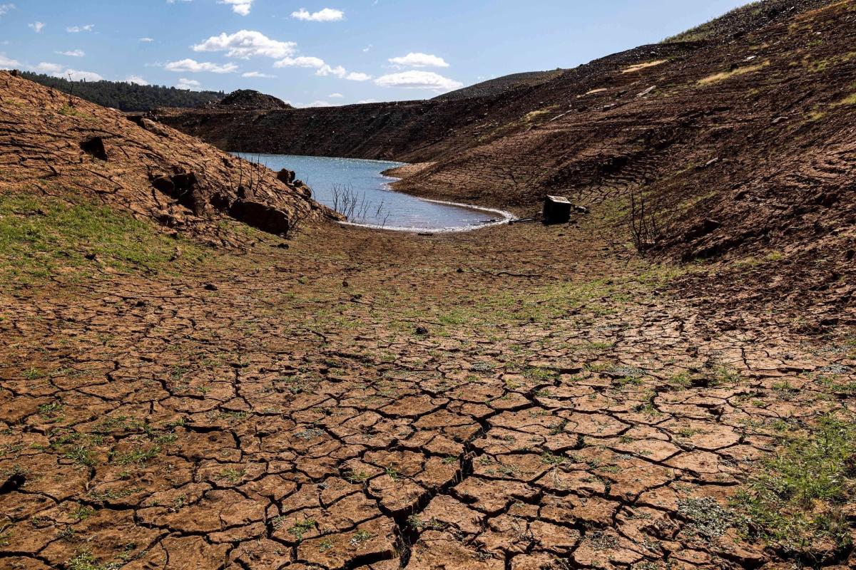 California’s Idle Crop Land May Double as Water Crisis Deepens