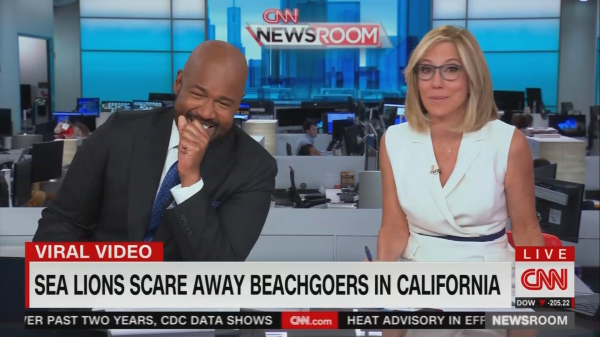 CNN anchor laughs so hard he can hardly speak after showing viral video