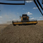 Crops ‘Stored Everywhere’: Ukraine’s Harvest Piles Up