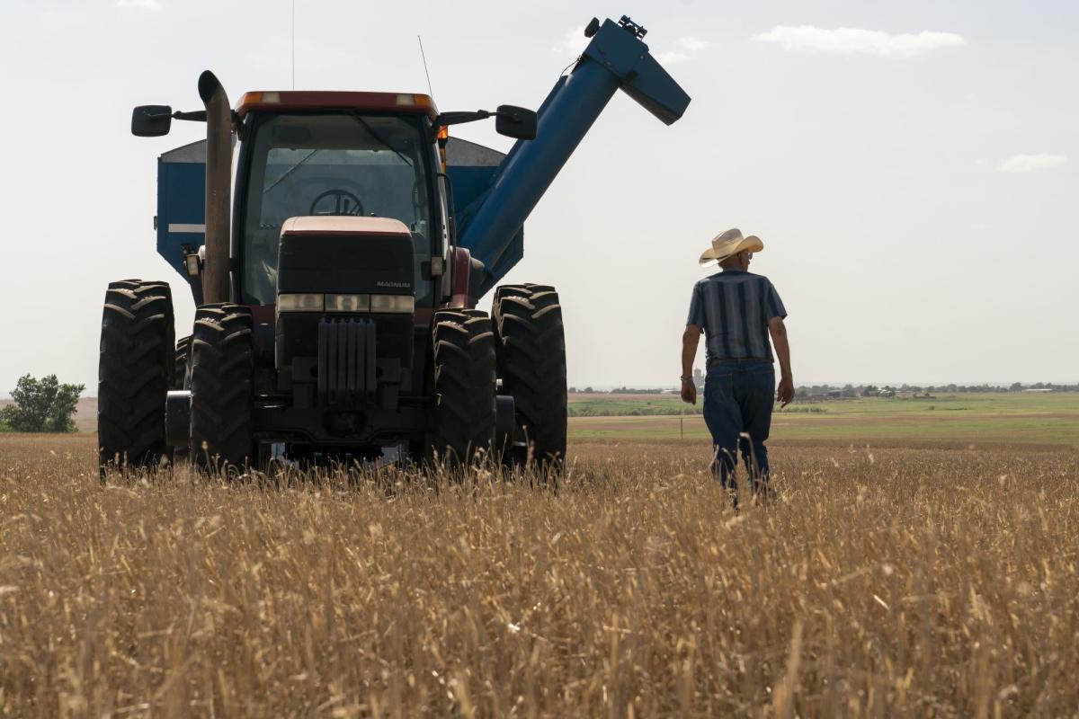 Democrats’ Climate Bill Seen Boosting Carbon Capture on US Farms