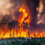 Europe broils in heat wave that fuels fires in France, Spain