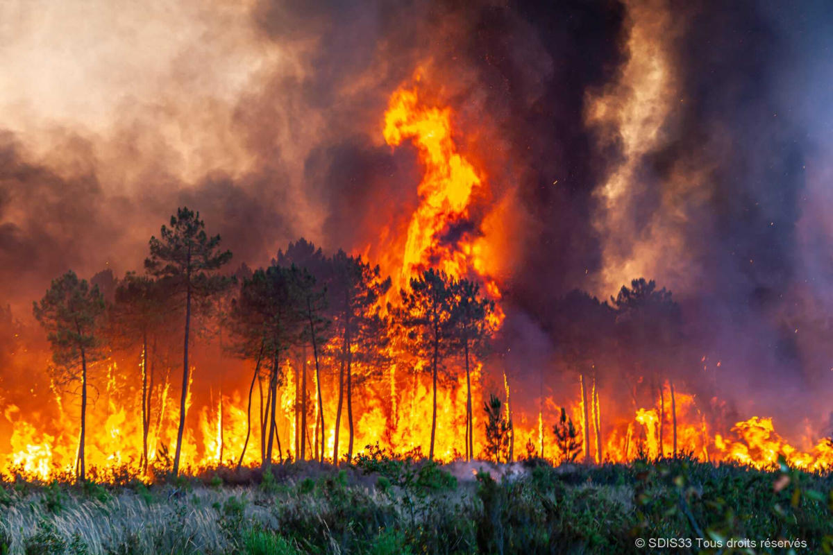 Europe broils in heat wave that fuels fires in France, Spain