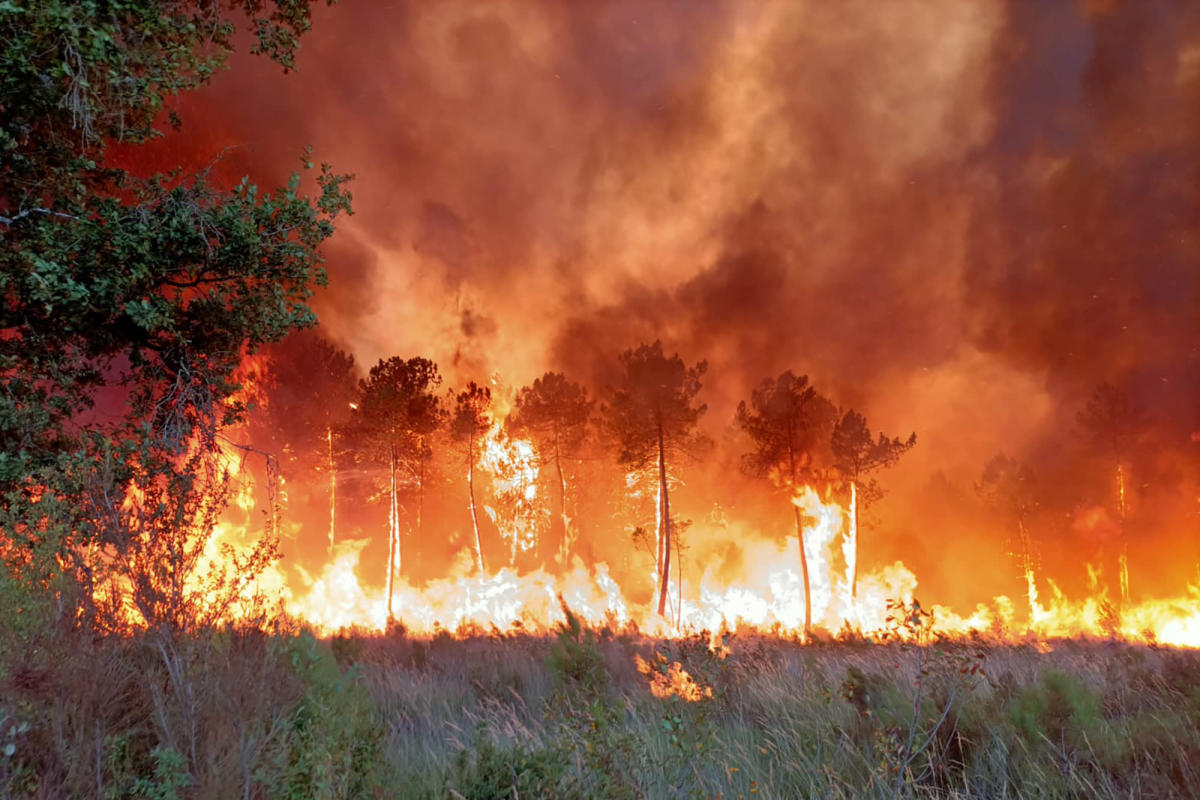 Fires ravage French forests near Atlantic as Europe heats up