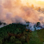 Fires scorch Spain and France, where flames reach the beach