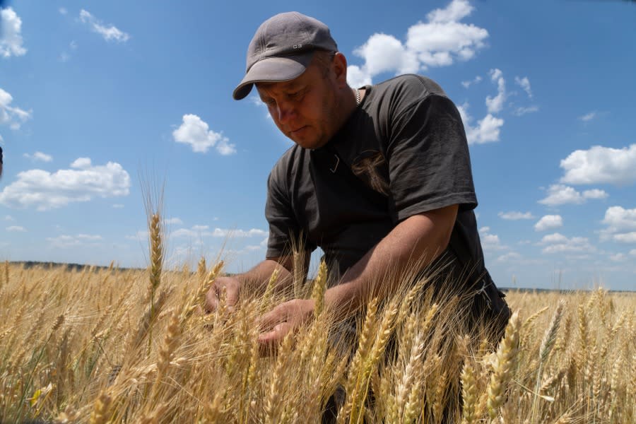 Grain prices shoot back up after Russian missile attack