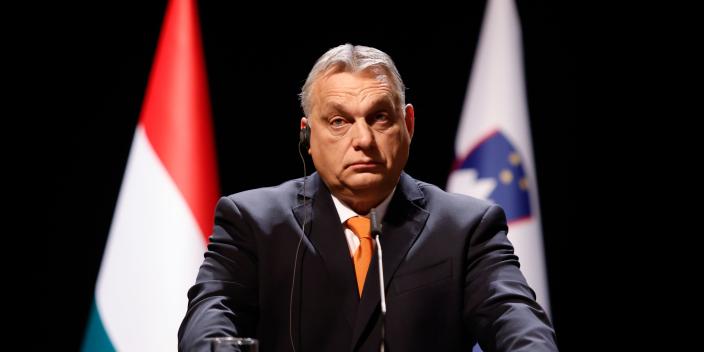 Hungary’s leader Viktor Orbán bashed Western Europeans for ‘mixing with non-Europeans’ and said Hungarians ‘do not want to become a mixed race’