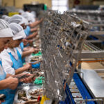 In Portugal, Taking a Dive Into Sardines