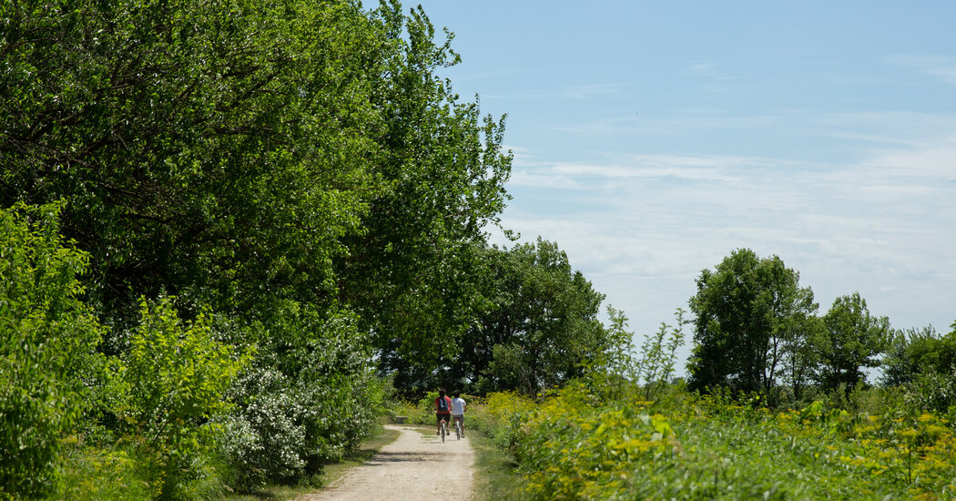 Nature and Camping Trips to Take From Chicago