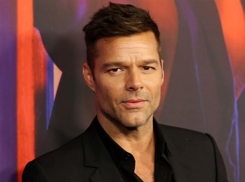 Ricky Martin Denies Allegations After Domestic Abuse Restraining Order Filed