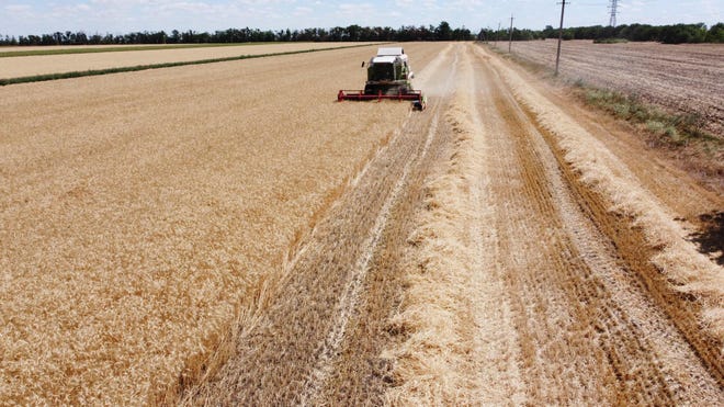 Russia, Ukraine expected to sign UN deal freeing up Ukrainian grain exports: Live updates