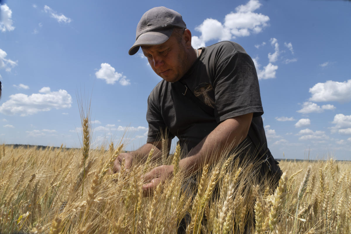 Russian, Ukrainian militaries discuss freeing grain exports