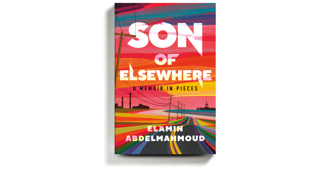 ‘Son of Elsewhere,’ a Funny and Frank Story About Life After a Big Move