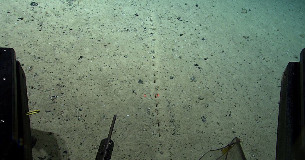 There Are Holes on the Ocean Floor. Scientists Don’t Know Why.