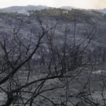 Algeria forest fires: At least 26 dead, minister says