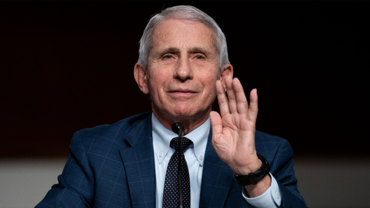 Dr. Anthony Fauci plans to ‘pursue another chapter’ in his career after retiring from government role