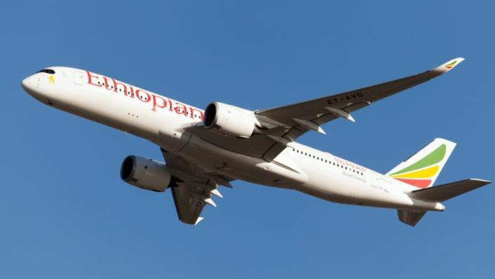 Ethiopian Airlines pilots ‘overshoot runway after falling asleep’