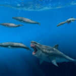 Giant sharks once roamed the seas, feasting on huge meals