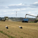 Grain ship to dock in Ukraine, leave for Africa