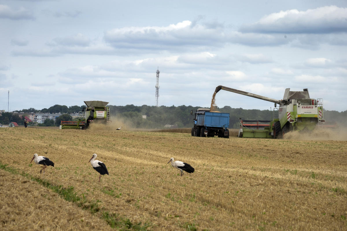 Grain ship to dock in Ukraine, leave for Africa