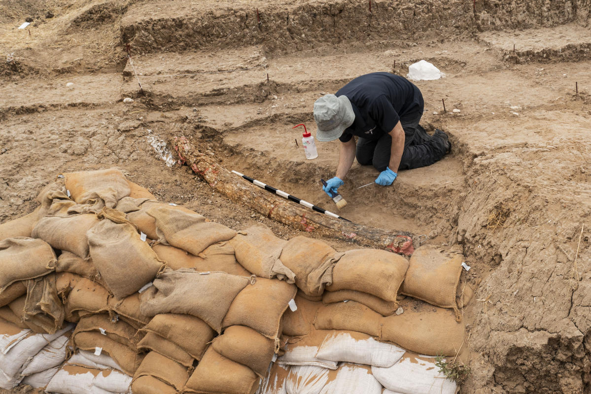 Israeli archaeologists dig up large tusk of ancient elephant