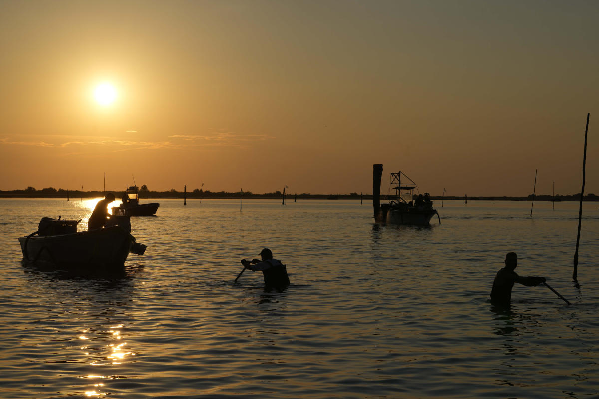 Italy’s salty Po Delta hurting agriculture, fisheries