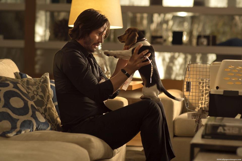 ‘John Wick’ Prequel ‘The Continental’ Will Premiere on Peacock in 2023