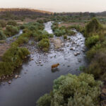 Jordan River, Jesus’ baptism site, is today barely a trickle