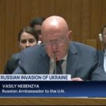 Russian Ambassador to the UN Vasily Nebenzya, via translator, calls out comments from Rep. Adam Kinzinger (R-IL).