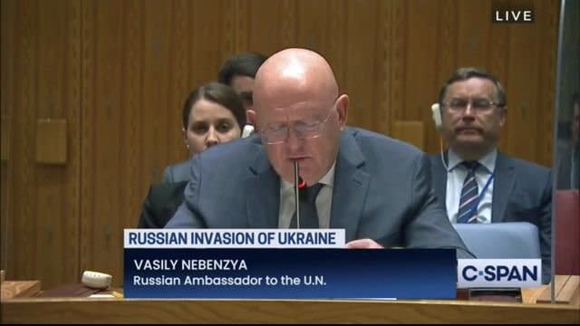 Russian Ambassador to the UN Vasily Nebenzya, via translator, calls out comments from Rep. Adam Kinzinger (R-IL).