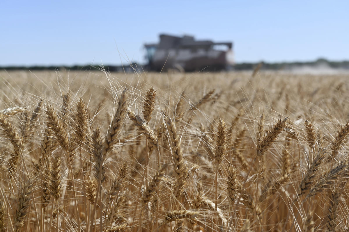 Russia’s economy gets boost from wartime grain shipments