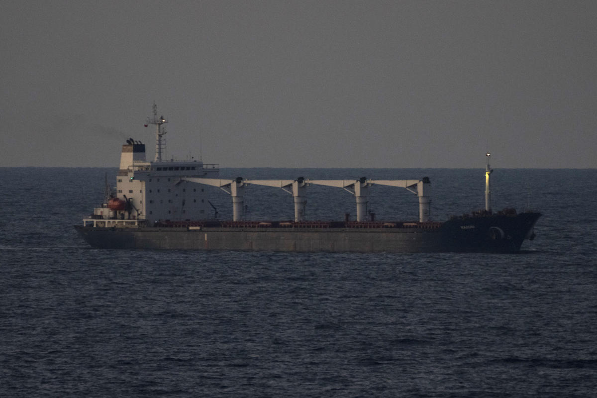 Ship with Ukrainian corn anchored off Turkey for inspection