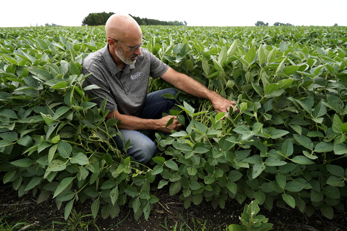 US asks farmers: Can you plant 2 crops instead of 1?