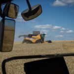 What Drives the Price of Wheat, Beyond War in Ukraine