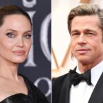 Angelina Jolie Claims Brad Pitt ‘Masterminded’ Plan to ‘Seize Control’ of Their Winery in Countersuit