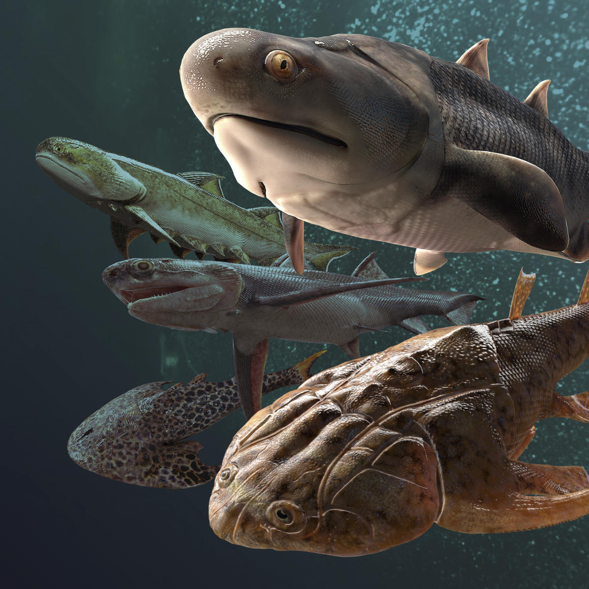 Fish fossil catch from China includes oldest teeth ever