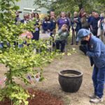 Hiroshima bombing recalled in Oregon “peace trees” campaign