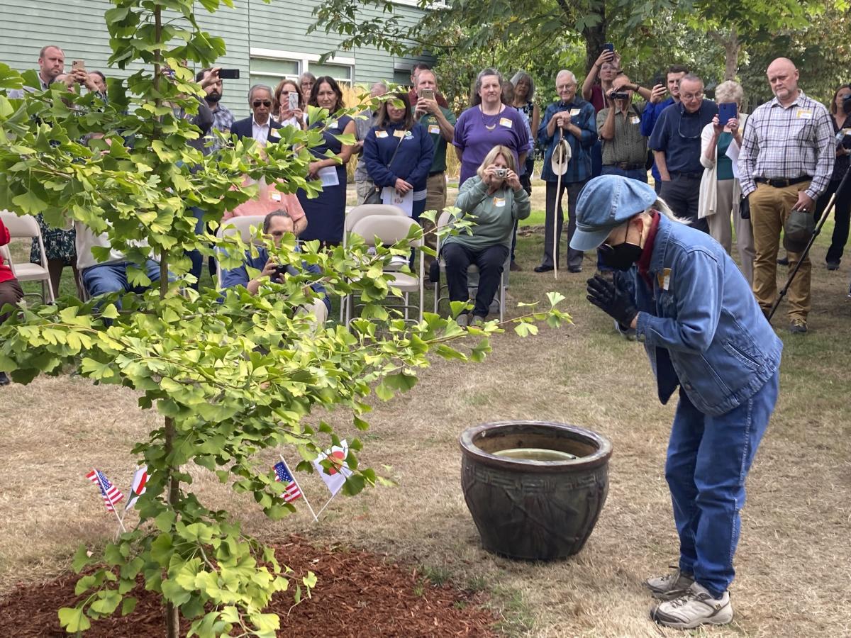 Hiroshima bombing recalled in Oregon “peace trees” campaign