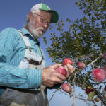 More consumers buying organic, but US farmers still wary