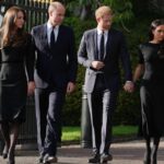 Prince William Invited Harry and Meghan to Join Him and Kate Outside Castle in Major Show of Unity