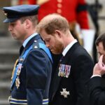 Prince William, Prince Harry Walk Side-By-Side For Queen Elizabeth’s Funeral Procession