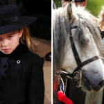 Princess Charlotte nods to ‘Gan Gan’s’ love of horses at Queen’s funeral with horseshoe brooch