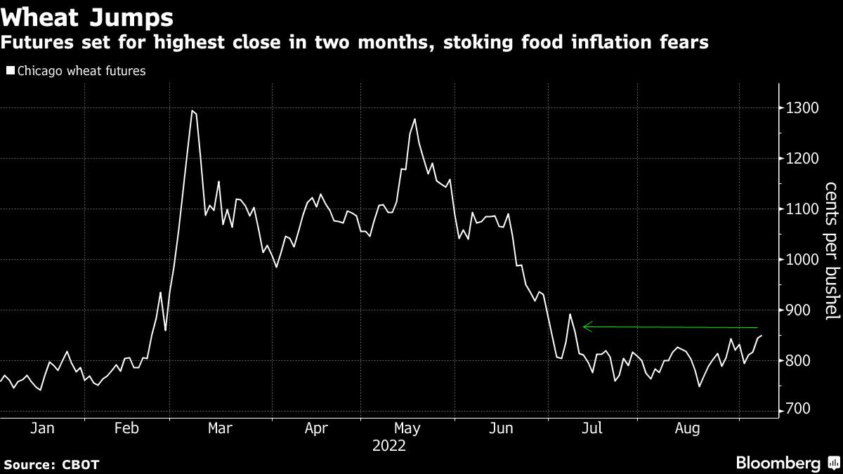 Putin’s Attack on Ukraine Grain Deal Stokes Food Inflation Fears