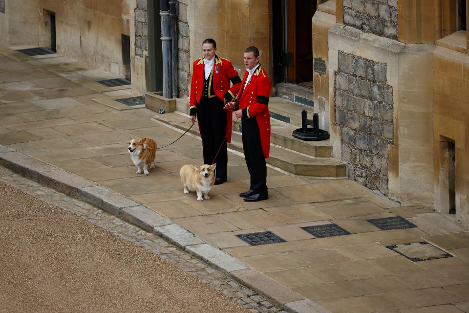 Queen Elizabeth’s corgis, Muick and Sandy, await her casket at Windsor Castle alongside Prince Andrew