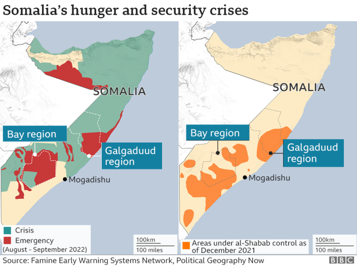 Somalia drought: Are US terror laws hampering aid effort?