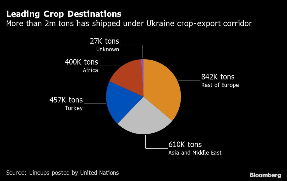 Ukraine Latest: Pop Icon’s Protest; Kherson Counteroffensive